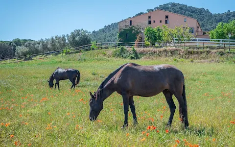 Masia Can Sala image