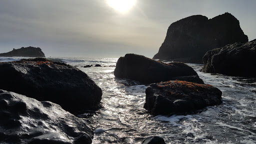 Golf Course «Agate Beach Golf Course», reviews and photos, 4100 N Coast Hwy, Newport, OR 97365, USA