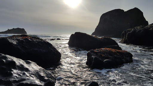 Golf Course «Agate Beach Golf Course», reviews and photos, 4100 N Coast Hwy, Newport, OR 97365, USA