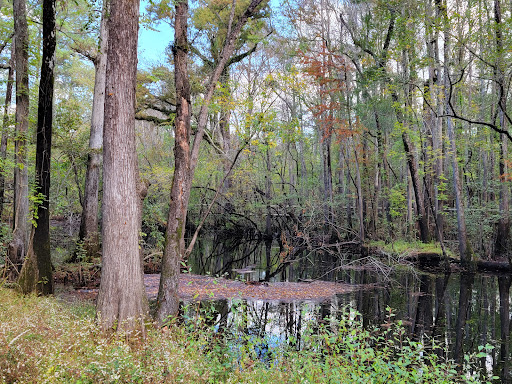 National Park «Moores Creek National Battlefield», reviews and photos, 40 Patriots Hall Dr, Currie, NC 28435, USA