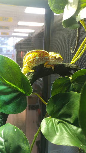 Pet Store «Everything Pet», reviews and photos, 3616 N Fry Rd, Katy, TX 77449, USA