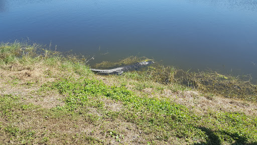 Golf Course «Manatee Cove Golf Course», reviews and photos, 861 Marina Rd, Patrick AFB, FL 32925, USA