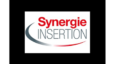 Agence Synergie Insertion Vosges à Épinal