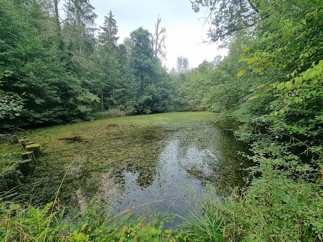 Walcheweiher - Sportstätte