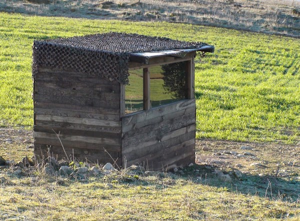 Imagen de Birding In Spain (1 de 6)