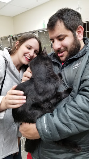 Animal Shelter «Heritage Humane Society», reviews and photos