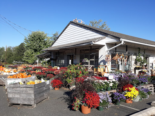 Produce Market «Stauffer Fruit Stand», reviews and photos, RR 663, Pennsburg, PA 18073, USA