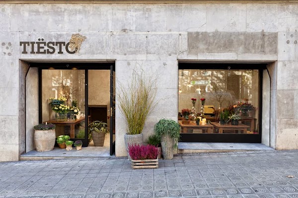 TISTO