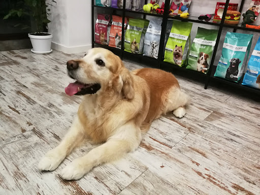 Petworks Peluquería Canina