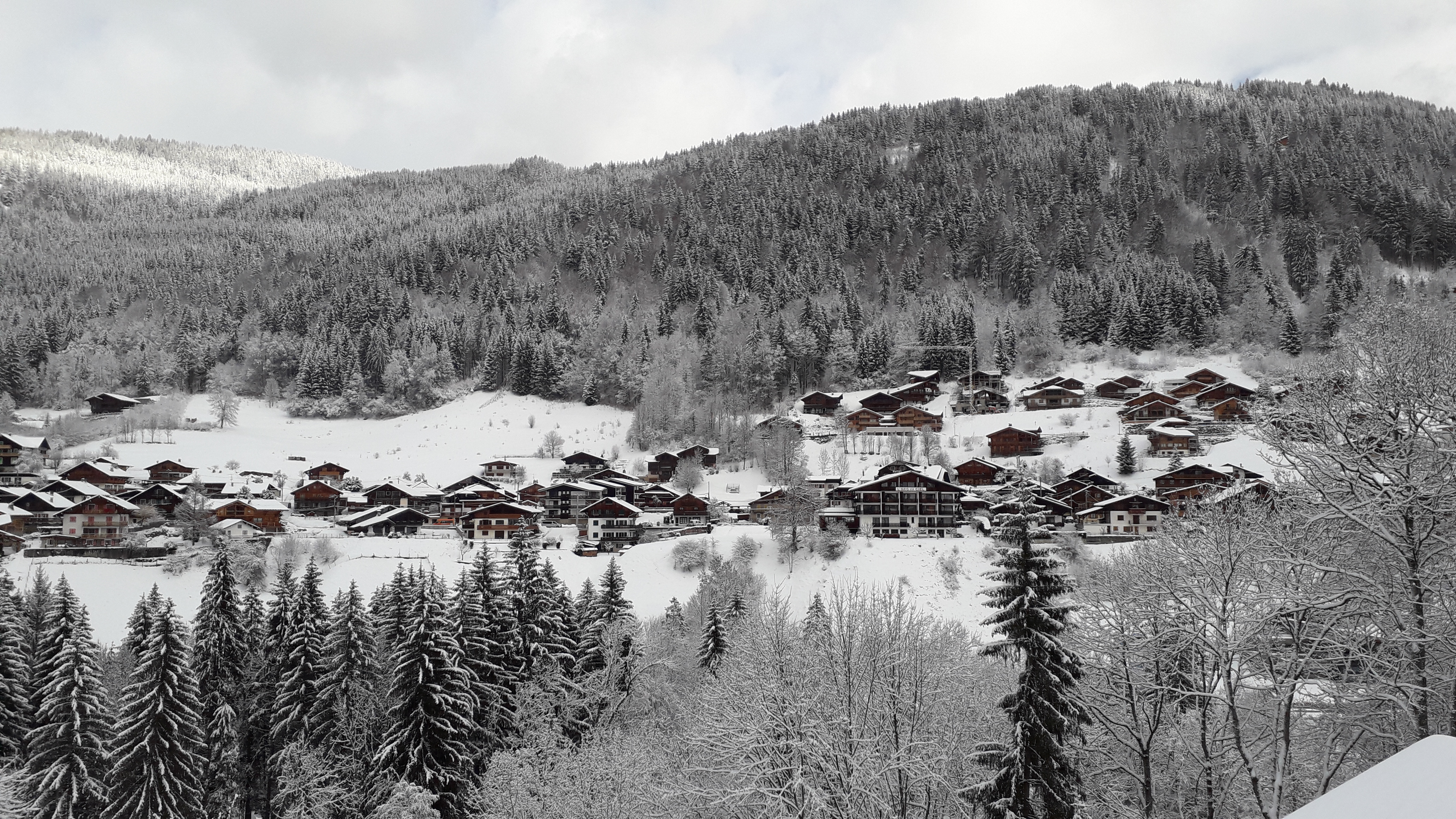 Photo n° 1 de l'avis de orlane.a fait le 02/02/2019 à 22:48