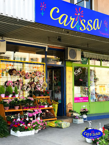 Carissa Virágbolt