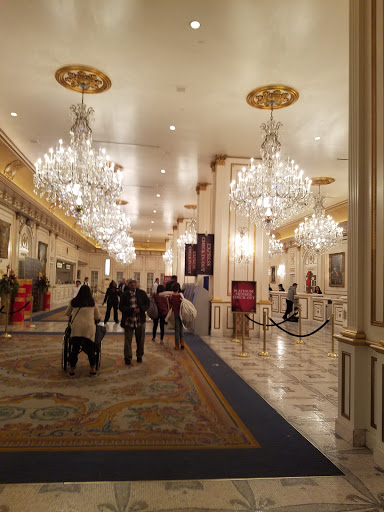 Tourist Attraction «SlotZilla Zip Line», reviews and photos, 425 Fremont St #160, Las Vegas, NV 89101, USA