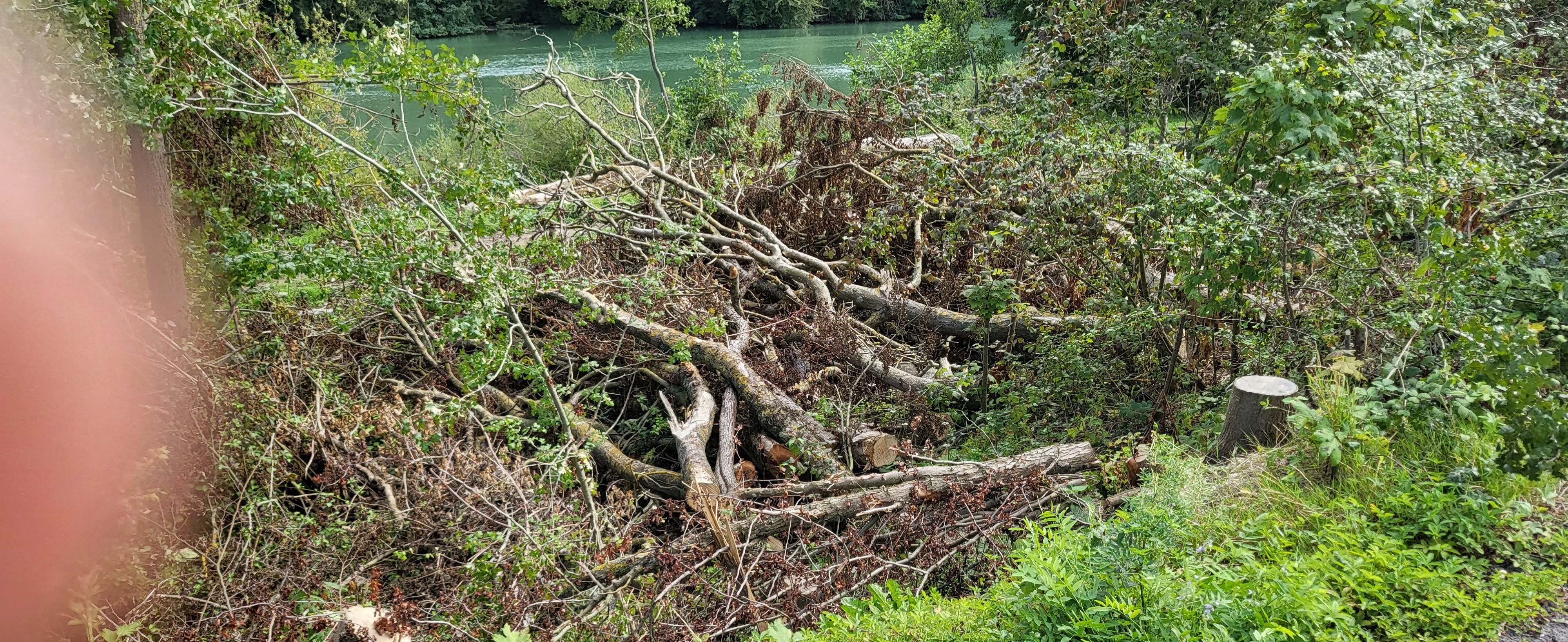 Photo n° 10 de l'avis de R. fait le 28/08/2023 à 09:54