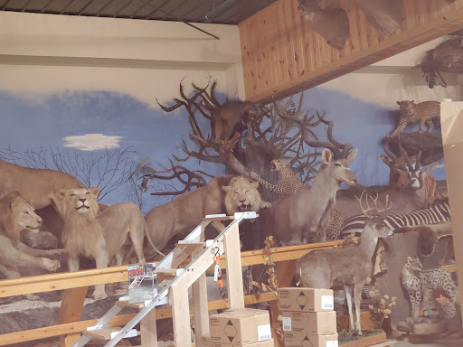 Sporting Goods Store «Midwestern Shooters Supply», reviews and photos, 191 Church St, Lomira, WI 53048, USA