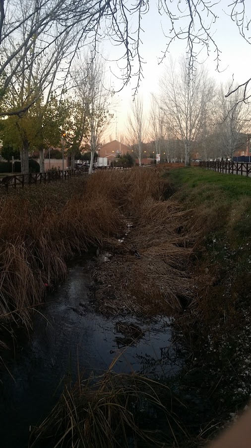 Parque del Lavadero