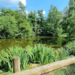 Photo n°2 de l'avis de Sven.a fait le 14/06/2023 à 20:31 sur le  Waldhotel Forsthaus Remstecken à Koblenz