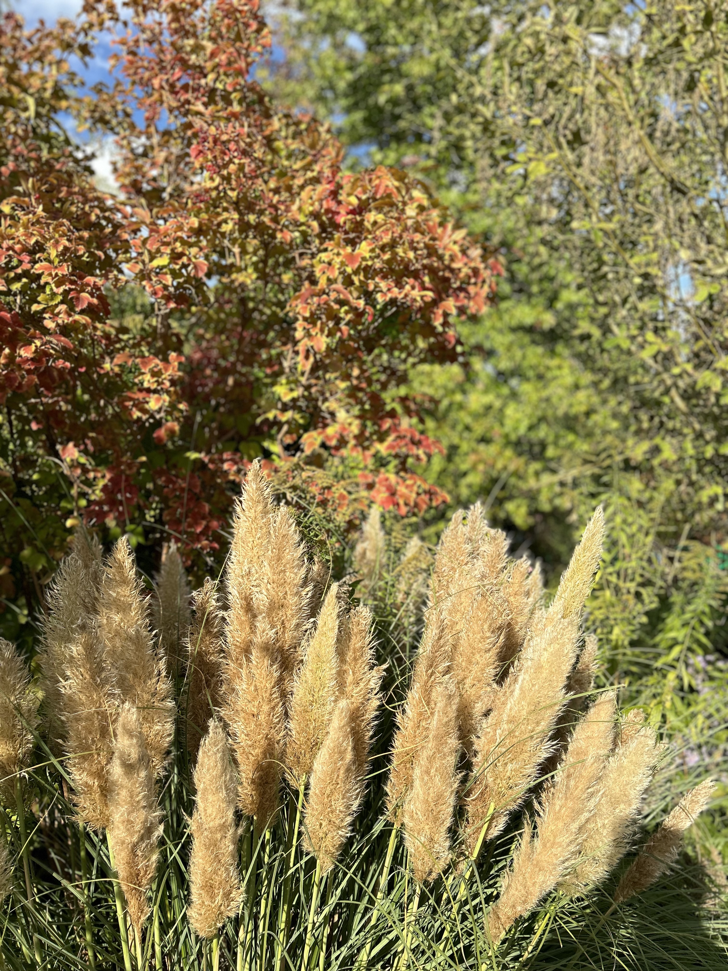 Photo n° 4 de l'avis de Justine.u fait le 12/10/2023 à 09:28