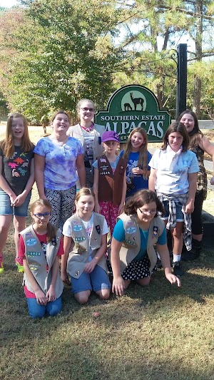 Southern Estate Alpacas - photo 38