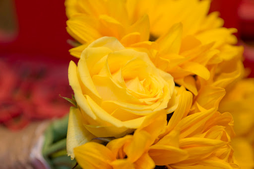 Winery «Cross Timbers Winery», reviews and photos, 805 N Main St, Grapevine, TX 76051, USA