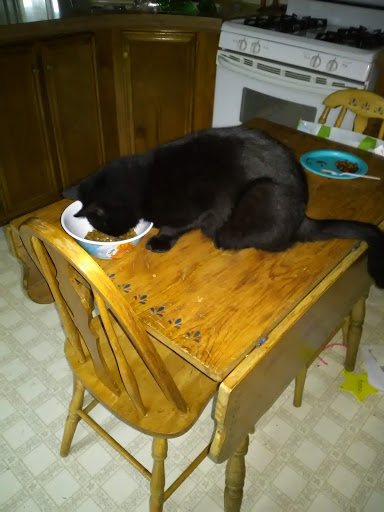 Home Goods Store «Dollar General», reviews and photos, 2649 Main St, Whitney Point, NY 13862, USA