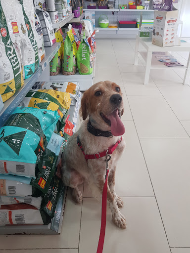 Centro Veterinario Azahara en Rincón de la Victoria