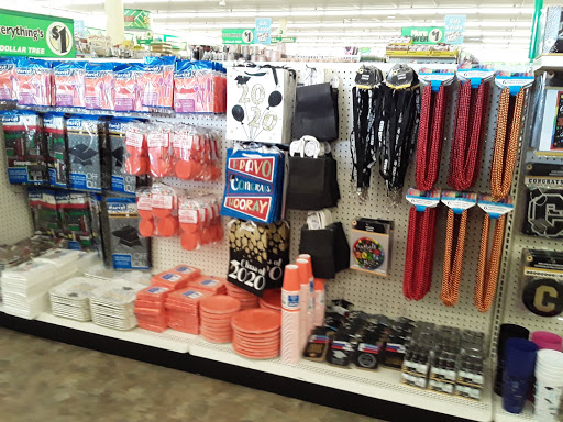 Dollar Store «Dollar Tree», reviews and photos, 2241 Citrus Blvd #107, Leesburg, FL 34748, USA