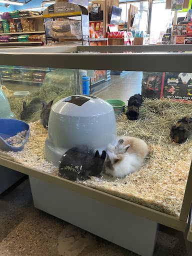 Pet Supply Store «Pet Express», reviews and photos, 180 Commercial St, Lynn, MA 01905, USA