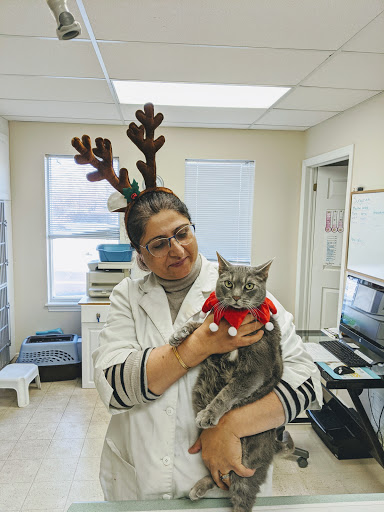 Herongate Animal Hospital image