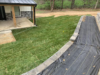 Capetillo Landscaping & Tree Service - Photo 3 - Car repair in , Kansas City