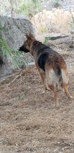 Amphitheater «USANA Amphitheatre», reviews and photos, 5150 S 6055 W, West Valley City, UT 84118, USA