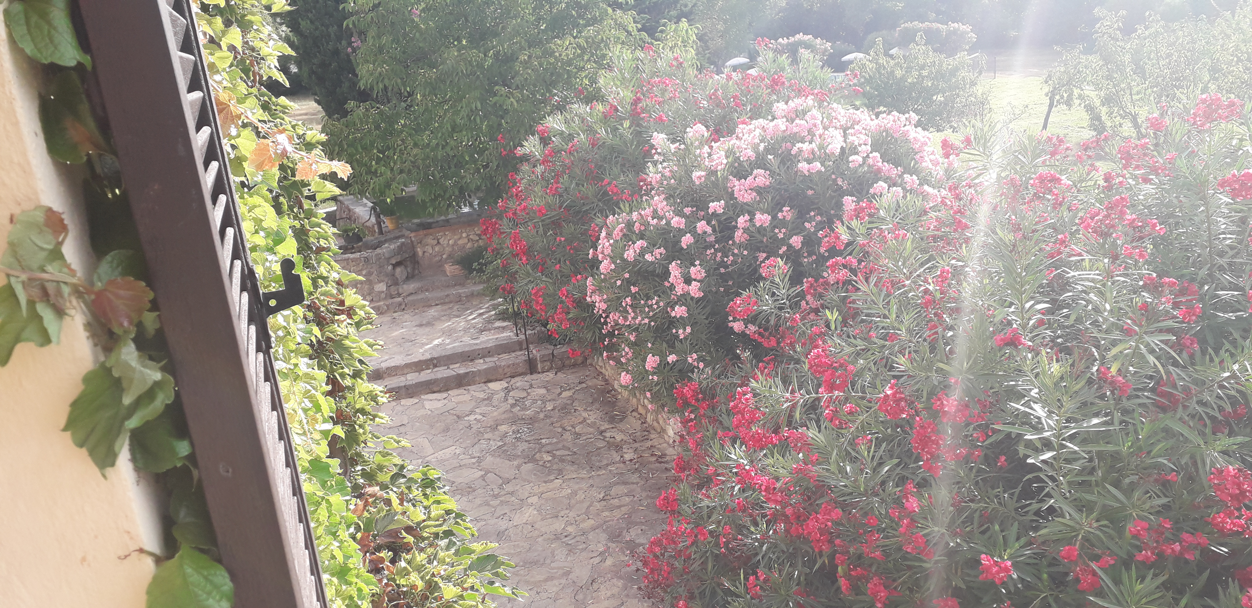 Photo n° 6 de l'avis de Nisajo.o fait le 19/08/2020 à 20:41