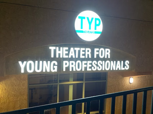 Theatre for Young Professionals