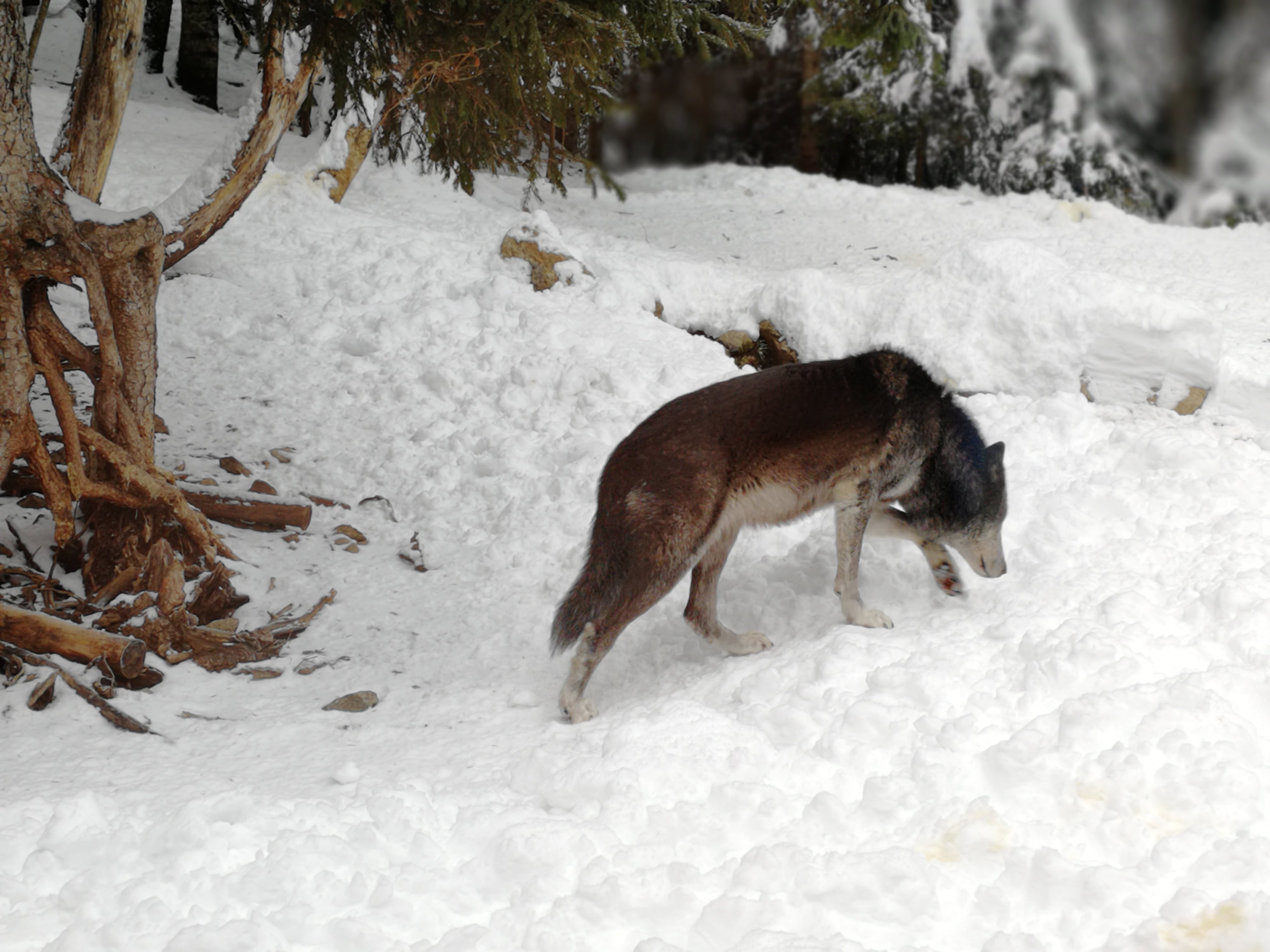 Photo n° 6 de l'avis de Melodie.r fait le 18/01/2018 à 19:09