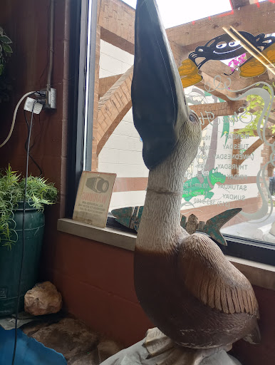 Pet Store «Critter Pet Shop», reviews and photos, 19309 Ecorse Rd, Allen Park, MI 48101, USA