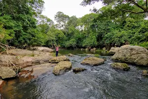 Karapara Water Falls image