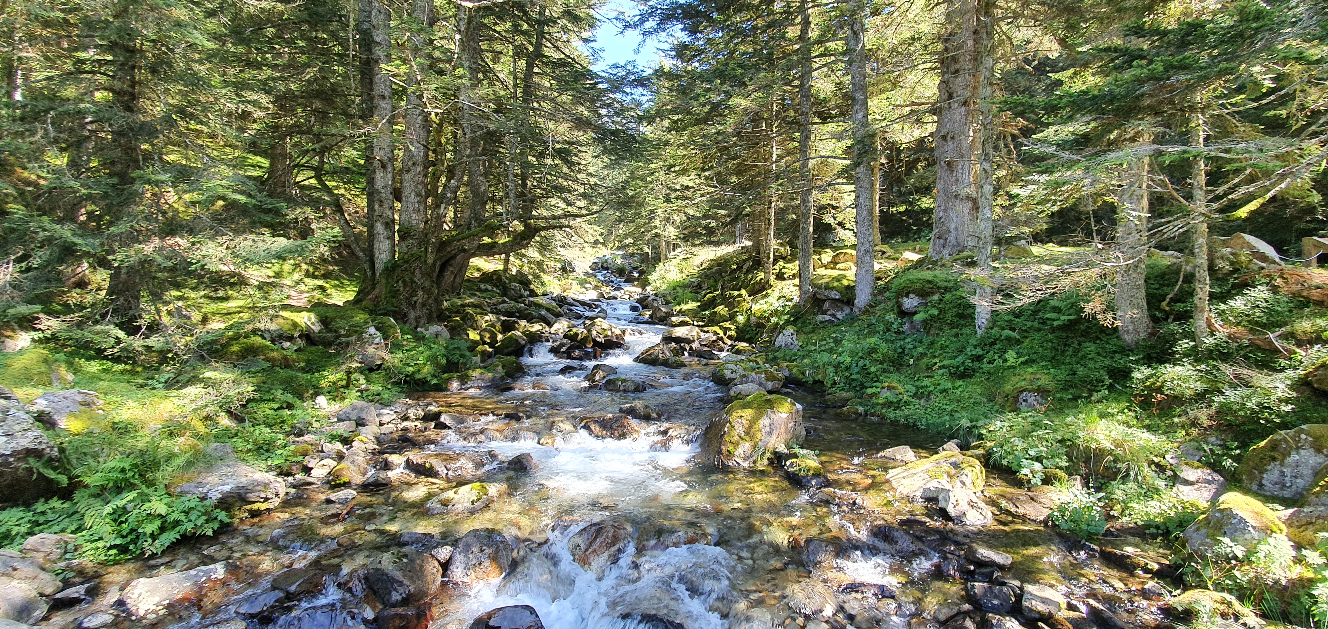 Photo n° 1 de l'avis de Manu. fait le 25/08/2020 à 14:18