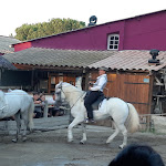 Photo n° 2 de l'avis de Sandrine.r fait le 23/07/2023 à 23:39 pour Cabaret Equestre de Camargue à Le Grau-du-Roi