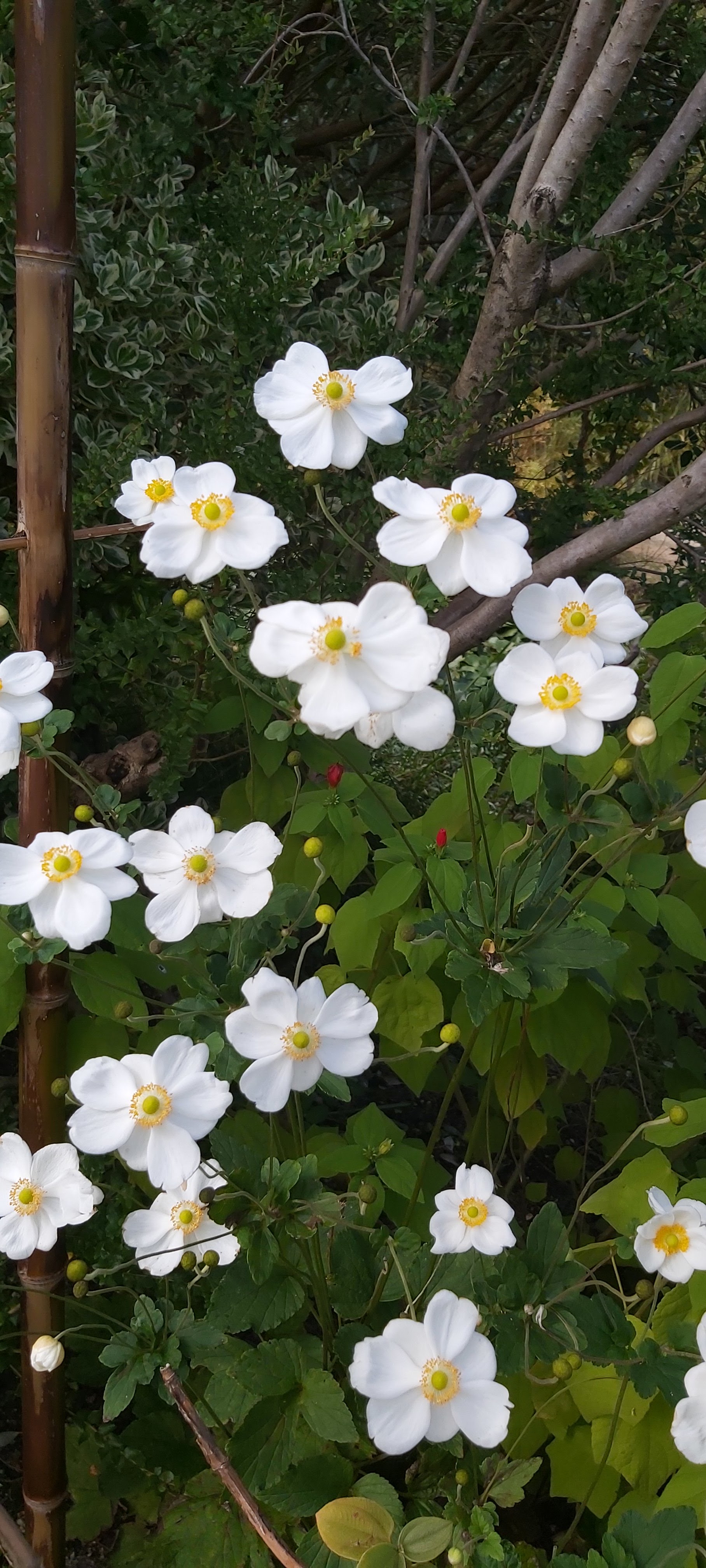 Photo n° 4 de l'avis de Laetitia.. fait le 10/10/2020 à 16:16