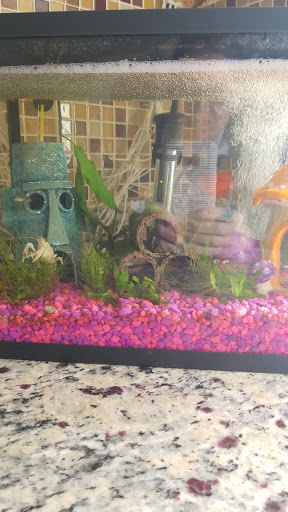 Pet Supply Store «Petco Animal Supplies», reviews and photos, 13 Welles St, Glastonbury, CT 06033, USA