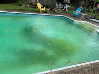 Pool Sharks Cleaning, LLC - Photo 7 - Car repair in , Augusta