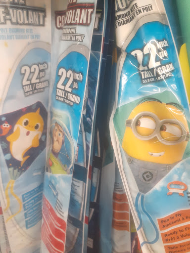 Dollar Store «Dollar Tree», reviews and photos, 2425 Haggerty Rd, Commerce Charter Twp, MI 48390, USA