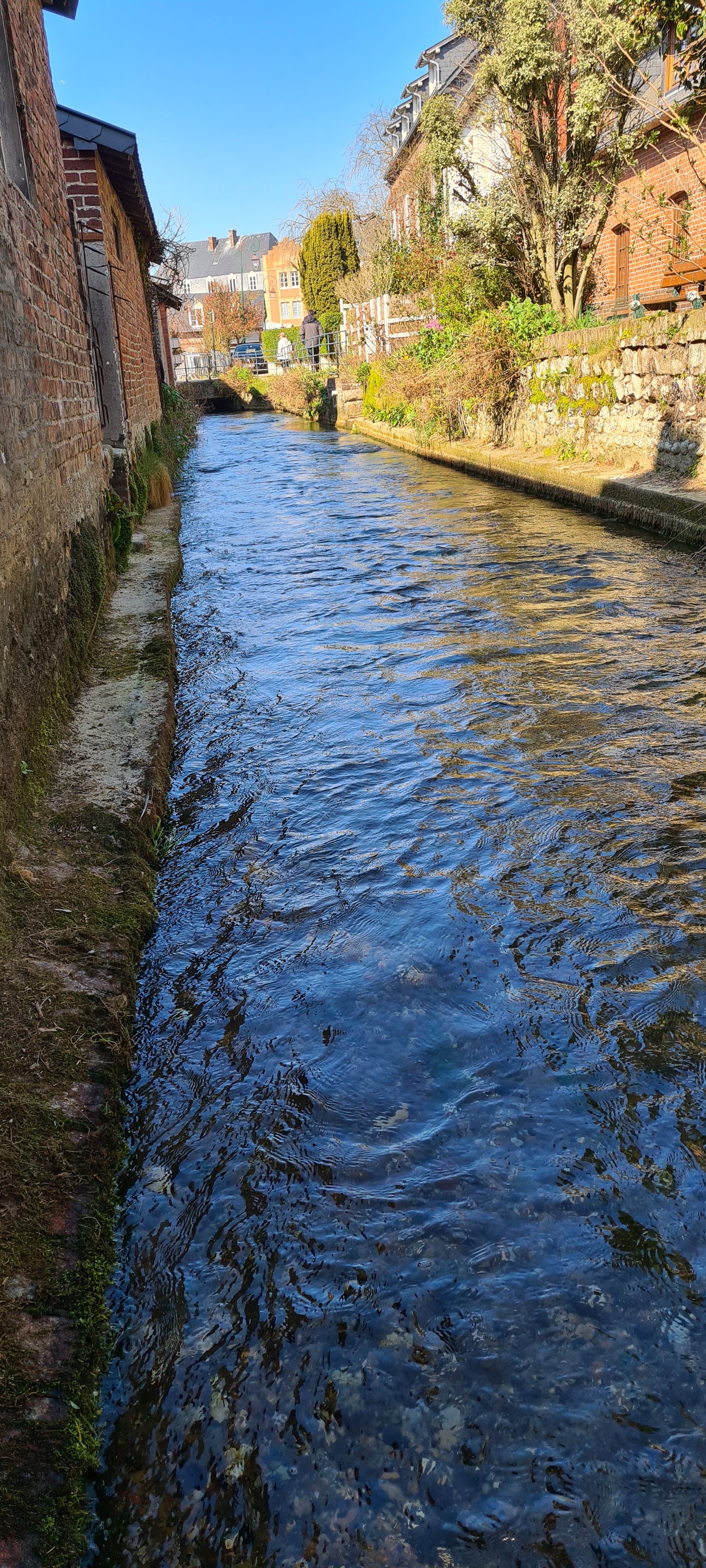 Photo n° 13 de l'avis de Taormina.a fait le 24/03/2022 à 16:22