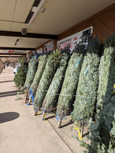 Shopping Mall «Harlem-Foster Shopping Center», reviews and photos, 7240 W Foster Ave, Chicago, IL 60656, USA