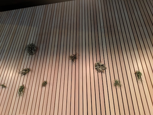 Coffee Shop «Intelligentsia Coffee Wicker Park Coffeebar», reviews and photos, 1609 W Division St, Chicago, IL 60622, USA