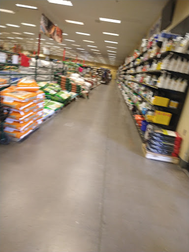 Animal Feed Store «Shoppers Supply», reviews and photos, 2880 S Alma School Rd, Chandler, AZ 85286, USA