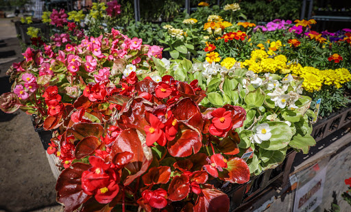 Pet Supply Store «Sutter Orchard Supply», reviews and photos, 573 Bridge St, Yuba City, CA 95991, USA