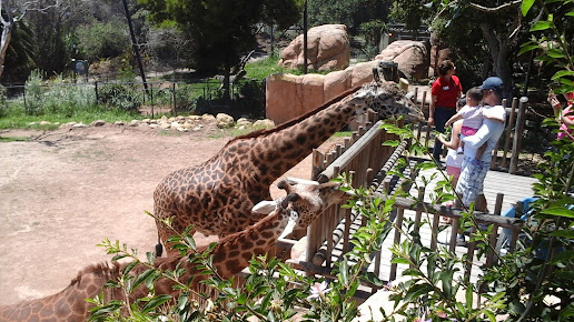 Santa Barbara Zoo