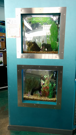 Pet Store «Animart», reviews and photos, 4303 E Towne Way, Madison, WI 53704, USA