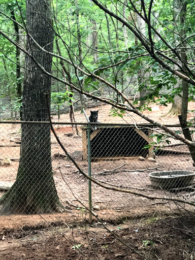 Zoo «North Georgia Zoo & Farm», reviews and photos, 2912 Paradise Valley Rd, Cleveland, GA 30528, USA