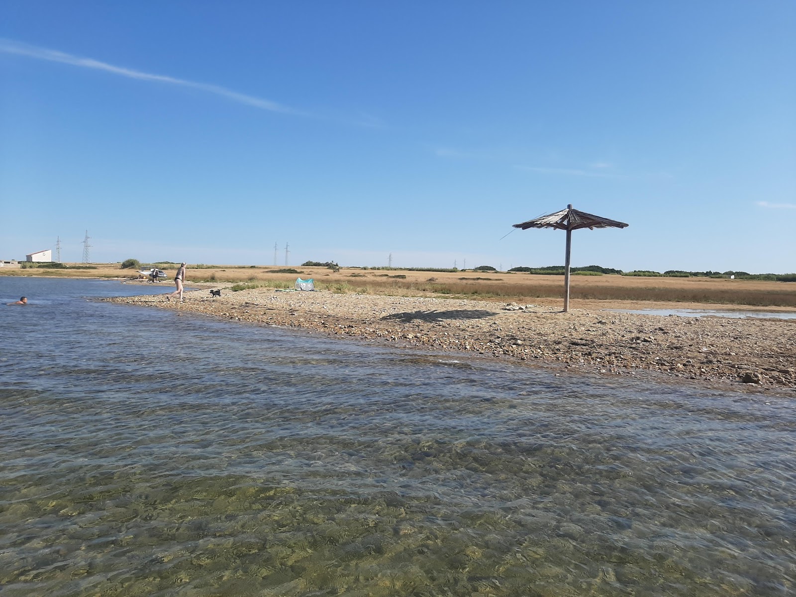 Pseca Plaza Privlaka'in fotoğrafı - tatil için iyi evcil hayvan dostu nokta